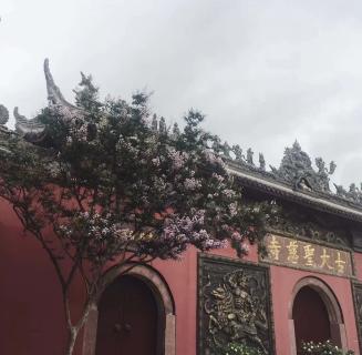 c7娱乐：助力公益活动建设，实现经济效益与社会效益的双赢！